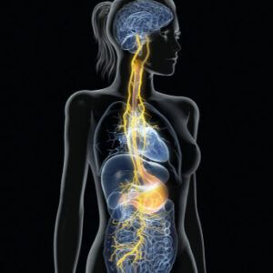 Autoimmune natural treatment Autoimmune natural treatment